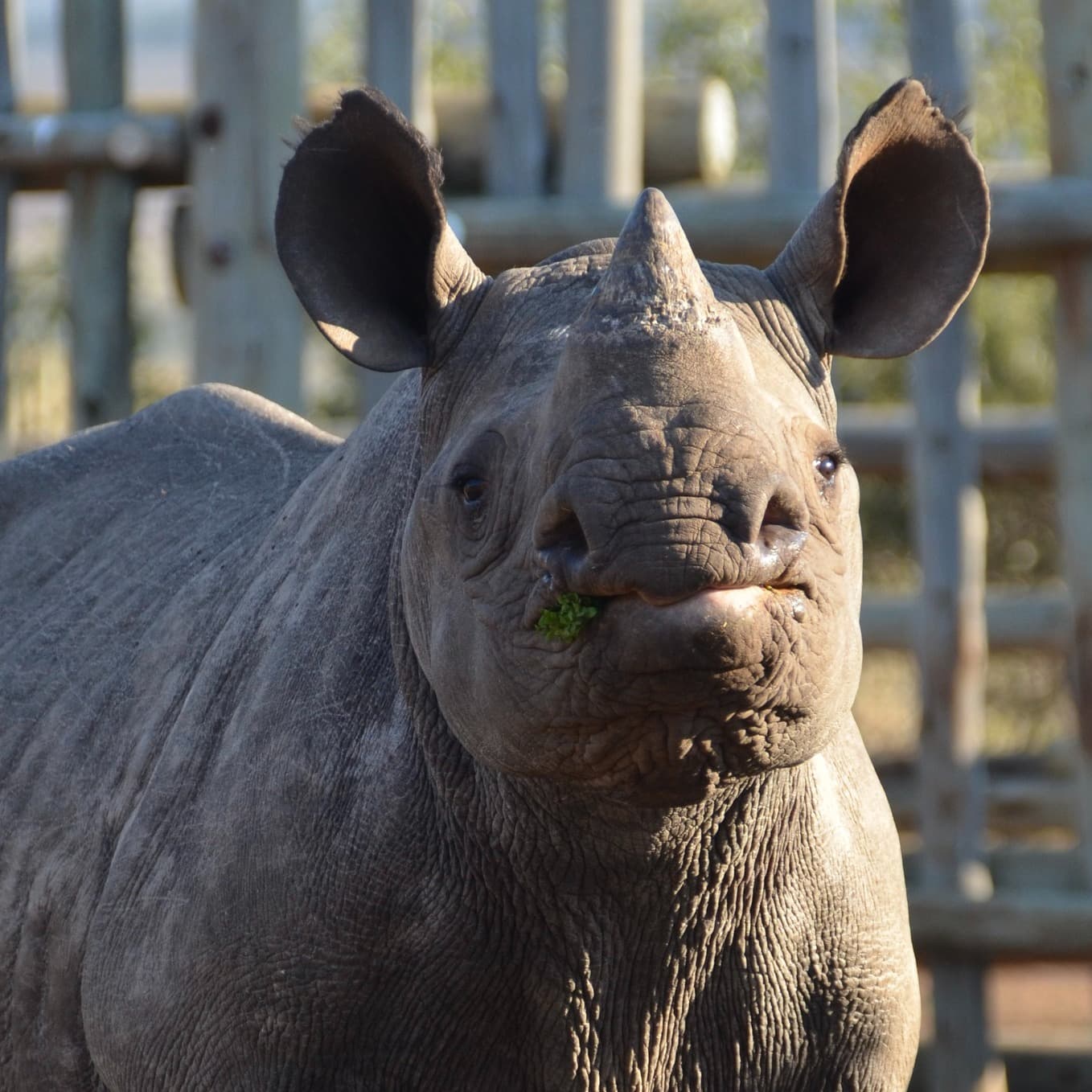 Zululand Conservation Trust